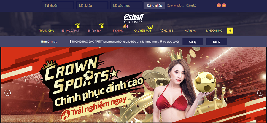 Giao diện esball