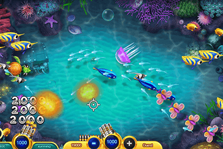 Kinh nghiệm chơi cash fish luôn thắng tại Fun88