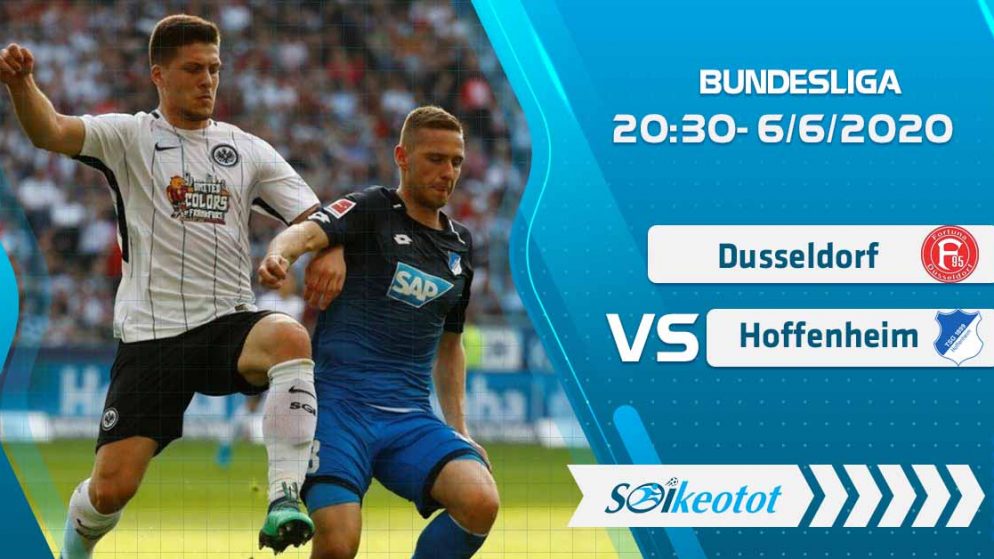 W88 Dự đoán Dusseldorf vs Hoffenheim lúc 20h30 ngày 6/6/2020