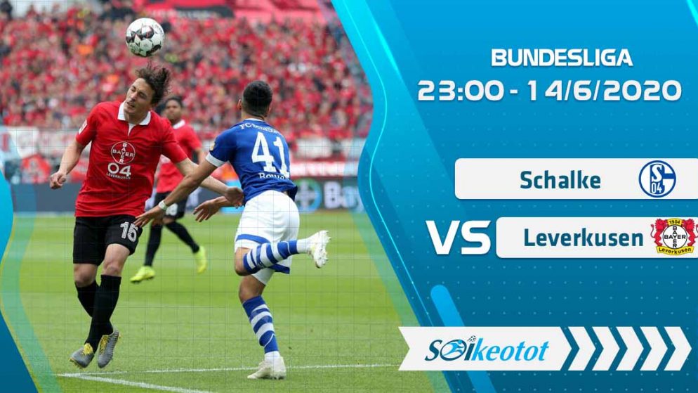 W88 Dự đoán Schalke vs Bayer Leverkusen lúc 23h00 ngày 14/6/2020