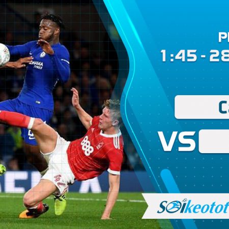 W88 Dự đoán Cardiff vs Fulham lúc 1h45 ngày 28/7/2020