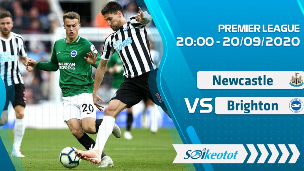 W88 Dự đoán Newcastle vs Brighton lúc 20h ngày 20/9/2020