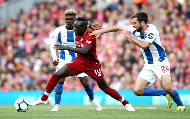 W88 Dự đoán Brighton vs Liverpool lúc 19h30 ngày 28/11/2020