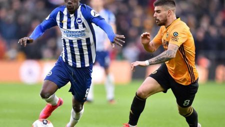 W88 Dự đoán Brighton vs Wolves lúc 0h30 ngày 3/1/2021