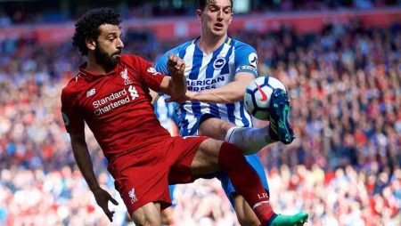 W88 Dự đoán Liverpool vs Brighton lúc 3h15 ngày 4/2/2021