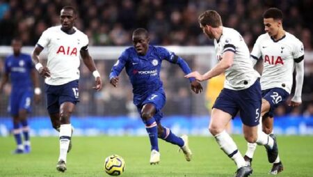 Mèo tiên tri dự đoán Tottenham vs Chelsea, 22h30 ngày 19/9