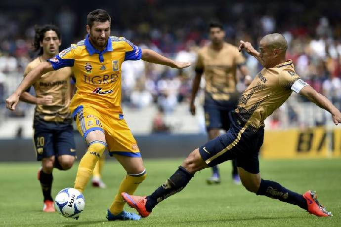 Nhận định kèo Tigres UANL vs UNAM Pumas, 7h ngày 26/9