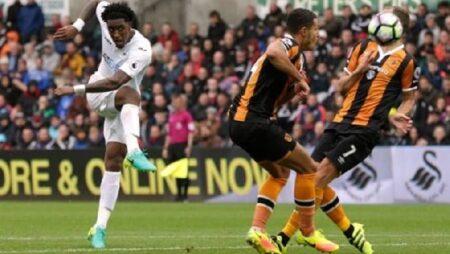 Soi kèo bóng đá hạng Nhất Anh hôm nay 11/9: Swansea vs Hull