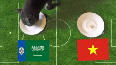 Tiên tri mèo Cass dự đoán Saudi Arabia vs Việt Nam, 1h ngày 3/9