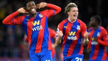 Đội hình ra sân chính thức Crystal Palace vs Newcastle, 21h ngày 23/10 (cập nhật)