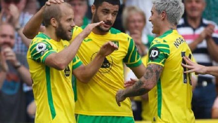 Đội hình ra sân chính thức Norwich vs Brighton, 21h ngày 16/10 (cập nhật)