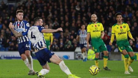 Nhận định kèo Norwich vs Brighton, 21h ngày 16/10