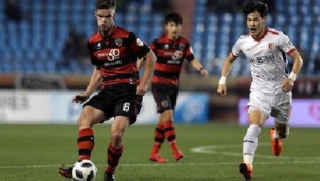 Nhận định kèo Pohang Steelers vs Nagoya Grampus, 12h00 ngày 17/10