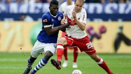 Nhận định kèo Schalke vs Ingolstadt, 18h30 ngày 3/10