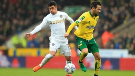 Soi bảng dự đoán tỷ số chính xác Norwich vs Leeds, 21h ngày 31/10