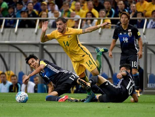 Tiên tri mèo dự đoán Nhật Bản vs Australia, 17h15 ngày 12/10