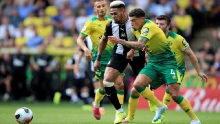 Biến động tỷ lệ kèo Newcastle vs Norwich, 2h30 ngày 1/12