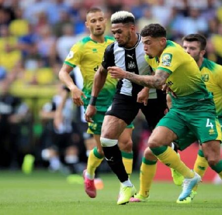 Biến động tỷ lệ kèo Newcastle vs Norwich, 2h30 ngày 1/12