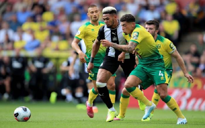 Biến động tỷ lệ kèo Newcastle vs Norwich, 2h30 ngày 1/12