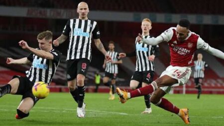 Đại bàng tiên tri dự đoán Arsenal vs Newcastle, 19h30 ngày 27/11