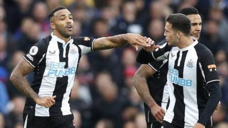 Đội hình ra sân chính thức Brighton vs Newcastle, 0h30 ngày 7/11 (cập nhật)