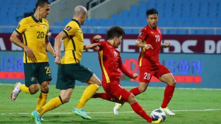 Dự đoán Úc vs Saudi Arabia (16h10 11/11) bởi chuyên gia Ume Elvis