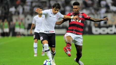 Máy tính dự đoán bóng đá 30/11: Flamengo vs Ceara