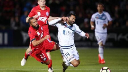 Nhận định kèo Adelaide vs Melbourne City, 15h45 ngày 27/11