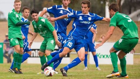 Nhận định kèo Hume City vs Port Melbourne Sharks, 15h30 ngày 10/11