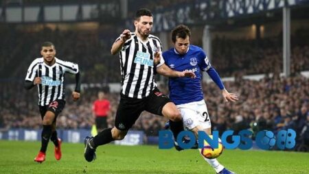 Biến động tỷ lệ kèo Everton vs Newcastle, 2h30 ngày 31/12