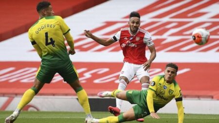 Biến động tỷ lệ kèo Norwich vs Arsenal, 22h ngày 26/12