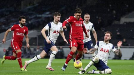 Đại bàng tiên tri dự đoán Tottenham vs Liverpool, 23h30 ngày 19/12