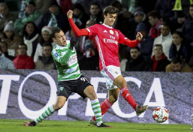 Nhận định kèo Benfica vs Sporting Covilha, 2h ngày 16/12