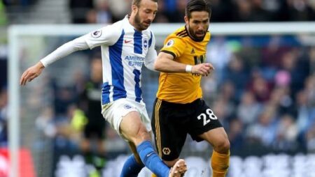 Nhận định kèo Brighton vs Wolves, 2h30 ngày 16/12