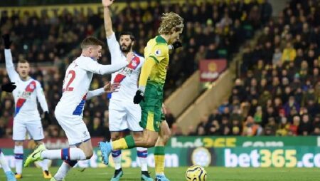 Nhận định kèo Crystal Palace vs Norwich, 22h00 ngày 28/12