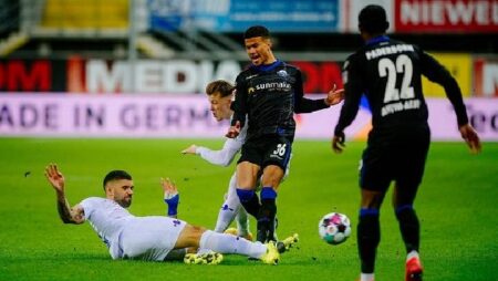 Nhận định kèo Paderborn vs Darmstadt, 19h30 ngày 11/12