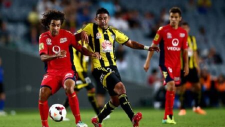 Soi kèo phạt góc Adelaide vs Wellington Phoenix, 15h45 ngày 1/1