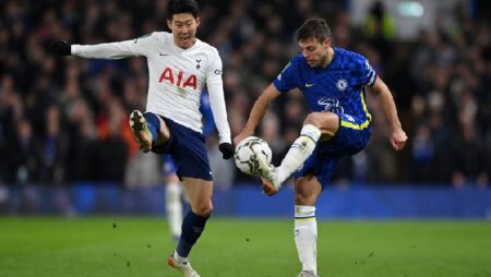 Đại bàng tiên tri dự đoán Chelsea vs Tottenham, 23h30 ngày 23/1