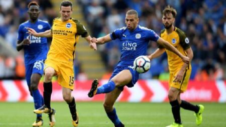 Đại bàng tiên tri dự đoán Leicester vs Brighton, 21h ngày 23/1