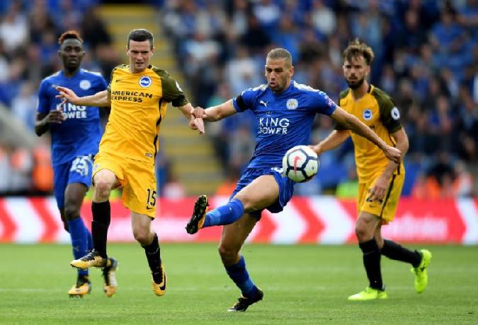 Đại bàng tiên tri dự đoán Leicester vs Brighton, 21h ngày 23/1