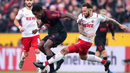 Nhận định kèo Bochum vs Cologne, 0h30 ngày 23/1