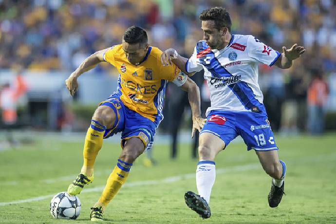 Nhận định kèo Tigres UANL vs Puebla, 8h00 ngày 16/1