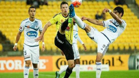 Phân tích kèo hiệp 1 Melbourne Victory vs Wellington Phoenix, 13h35 ngày 29/01