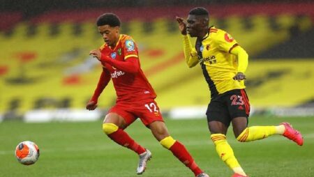 Soi bảng dự đoán tỷ số chính xác Watford vs Norwich, 3h ngày 22/1