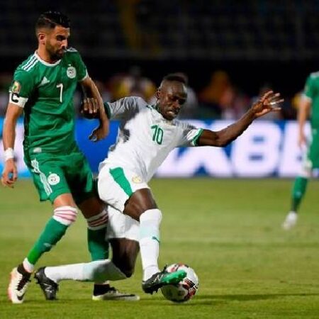 Soi kèo phạt góc Algeria vs Sierra Leone, 20h00 ngày 11/1