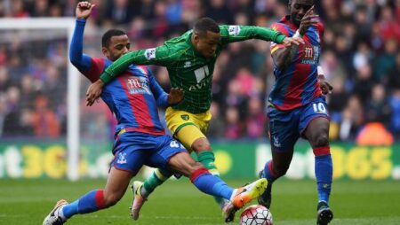 Biến động tỷ lệ kèo Norwich vs Crystal Palace, 2h45 ngày 10/2