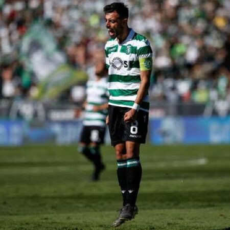 Máy tính dự đoán bóng đá 6/2: Sporting Lisbon vs Famalicao