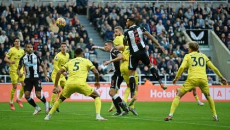 Nhận định kèo Brentford vs Newcastle, 22h ngày 26/2