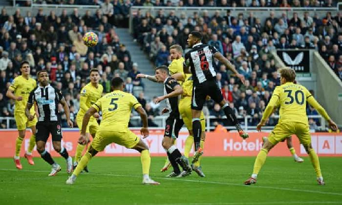 Nhận định kèo Brentford vs Newcastle, 22h ngày 26/2