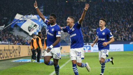 Nhận định kèo Schalke vs Paderborn, 0h30 ngày 19/2